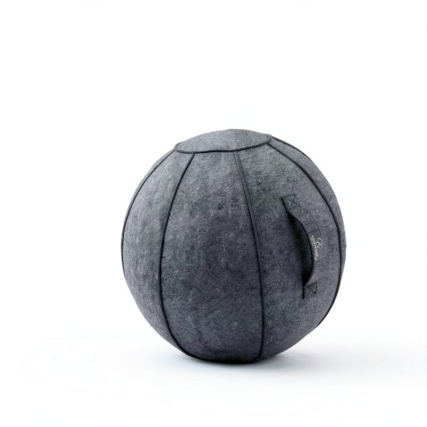 Pilates Ball ProBody Pilates ABS Slate Adult-3