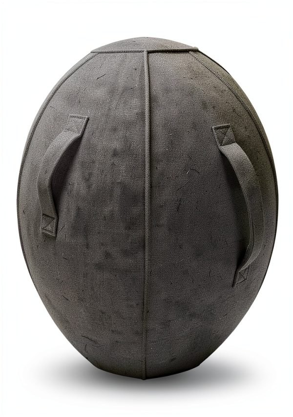 Pilates Ball ProBody Pilates ABS Slate Adult-5