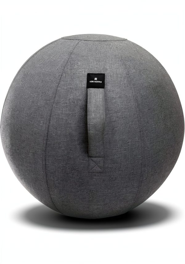 Exercise Ball Chair AE Alpha Essentials Polyester Modern-0