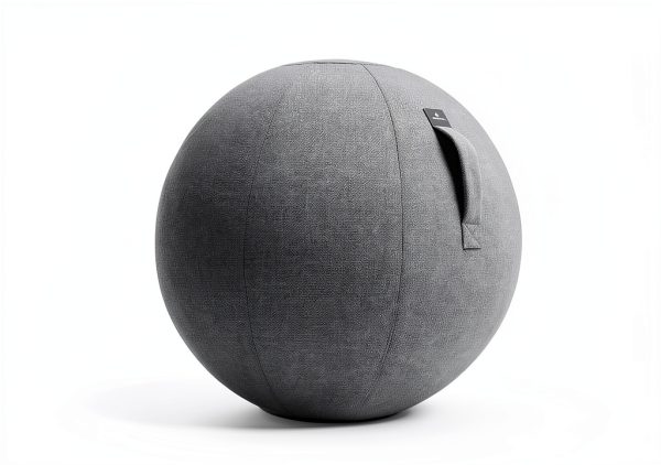 Exercise Ball Chair AE Alpha Essentials Polyester Modern-1