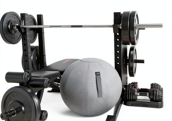 Exercise Ball Chair AE Alpha Essentials Polyester Modern-2