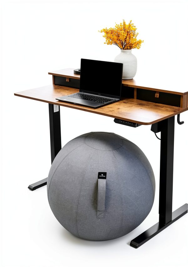 Exercise Ball Chair AE Alpha Essentials Polyester Modern-3