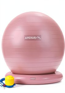 APEXUP Pink Exercise Ball Chair L 65cm High Load Stability for Kids-0