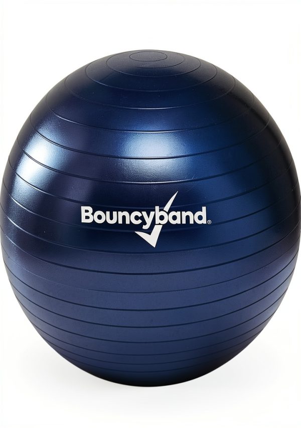 Bouncy Bands Weighted Balance Ball Small Dark Blue Exercise Chair-3