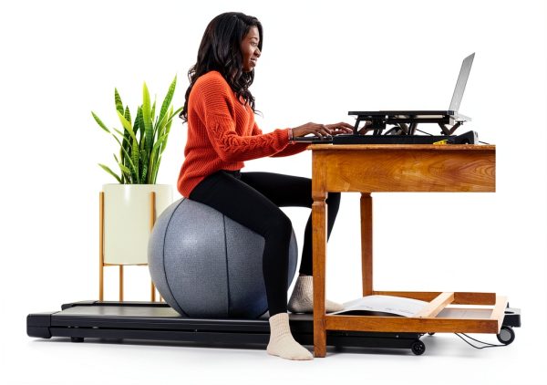 Yoga Ball Office Chair LifeSpan Fitness Charcoal Felt 25 Inch-2
