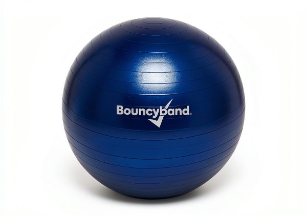 Bouncy Bands Weighted Balance Ball Small Dark Blue Exercise Chair-2
