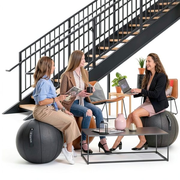 Yoga Ball Office Chair LifeSpan Fitness Charcoal Felt 25 Inch-6