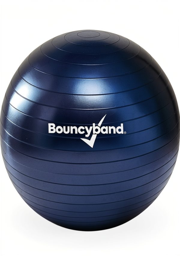Bouncy Bands Weighted Balance Ball Small Dark Blue Exercise Chair-0