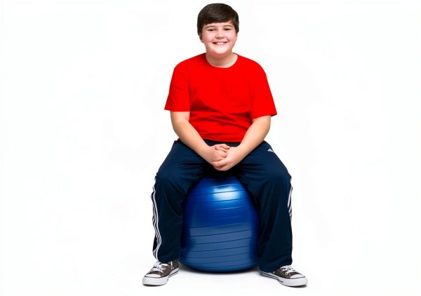 Bouncy Bands Weighted Balance Ball Small Dark Blue Exercise Chair-1